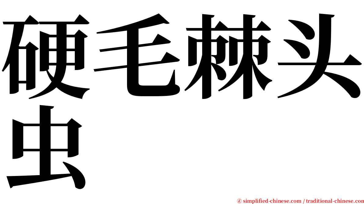 硬毛棘头虫 serif font