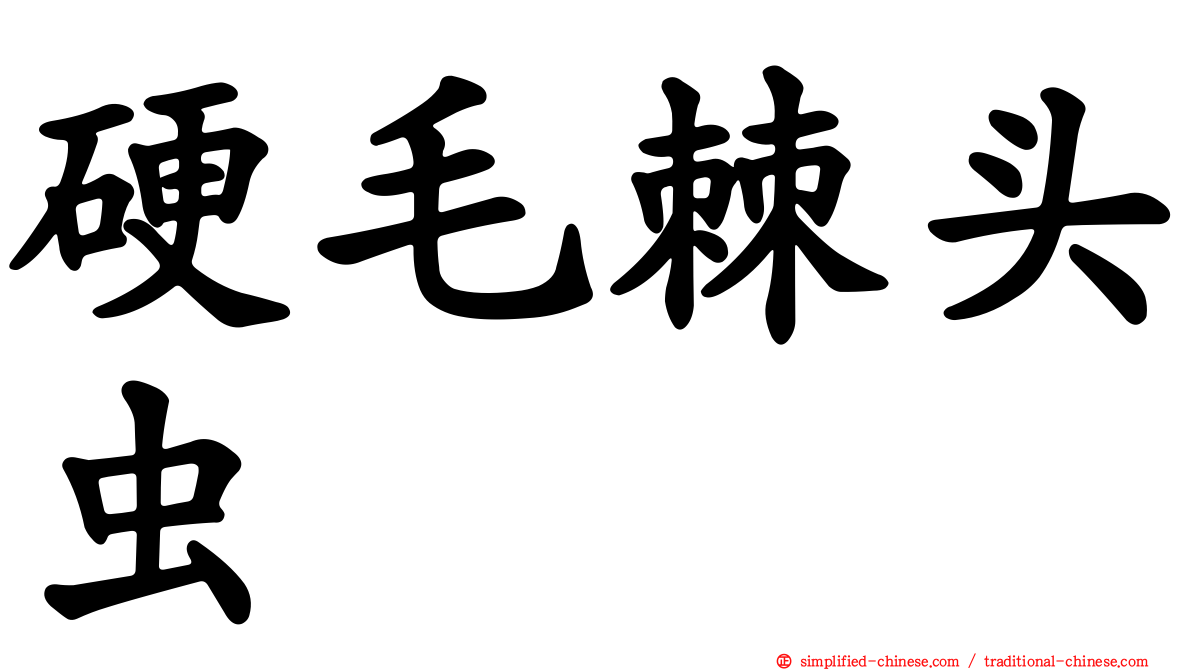硬毛棘头虫