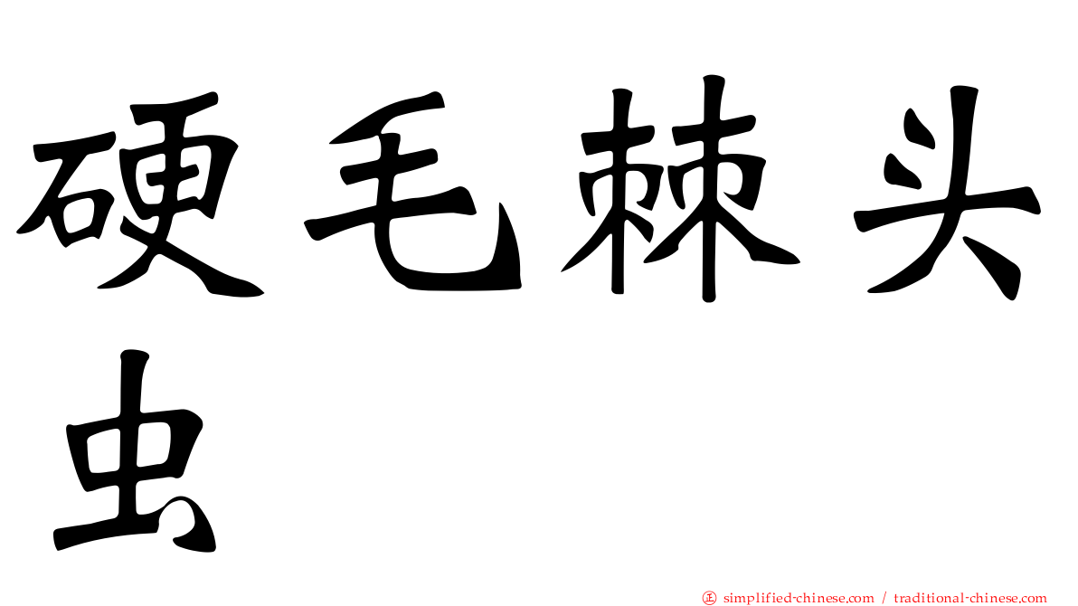 硬毛棘头虫