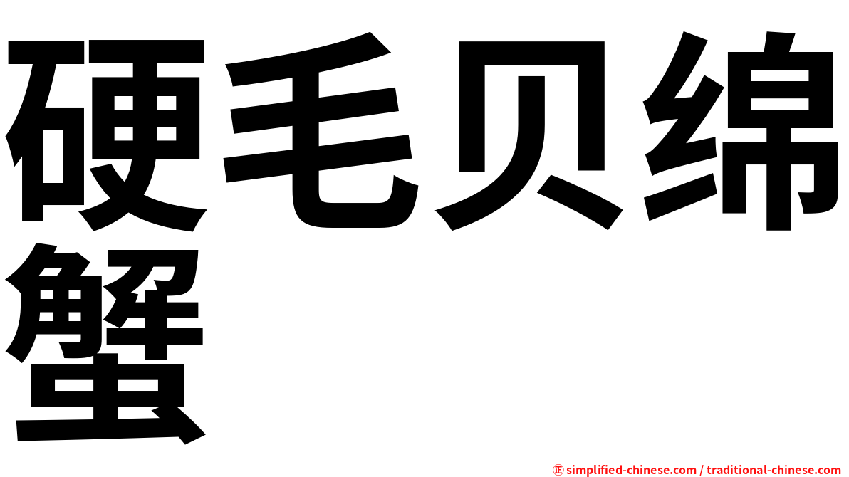 硬毛贝绵蟹