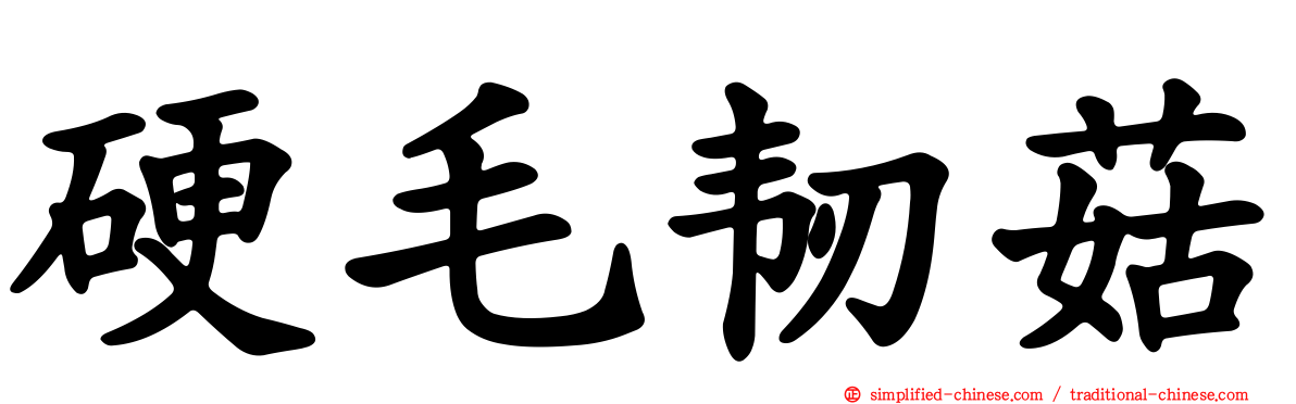硬毛韧菇
