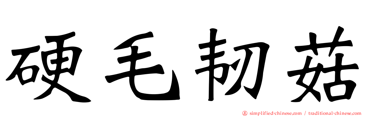 硬毛韧菇