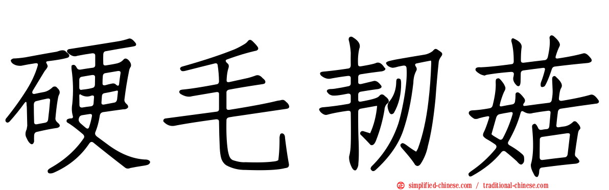 硬毛韧菇