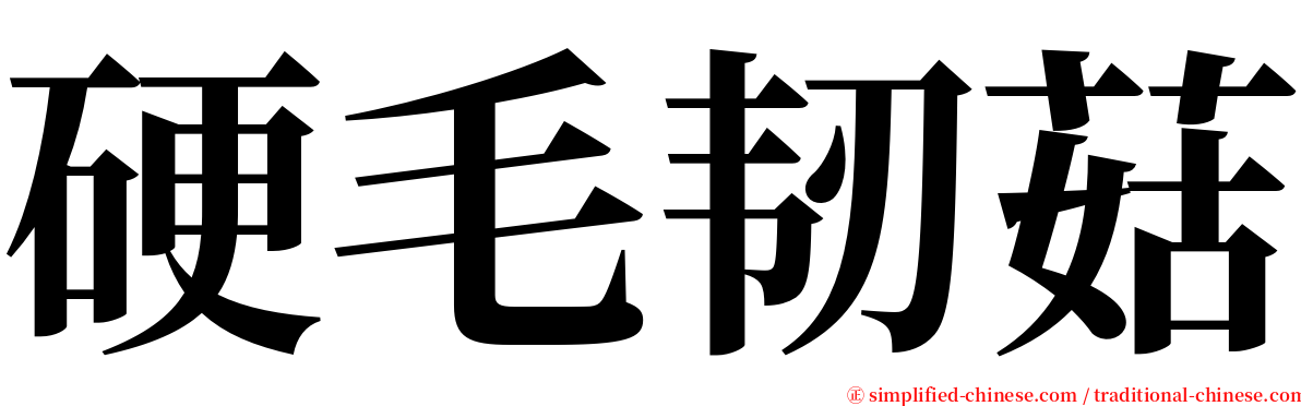 硬毛韧菇 serif font