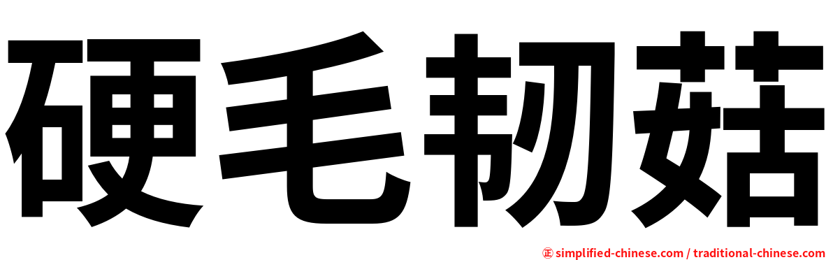 硬毛韧菇
