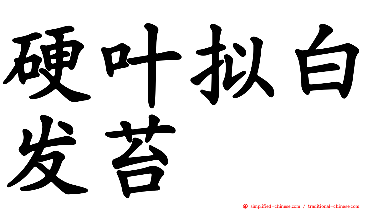 硬叶拟白发苔