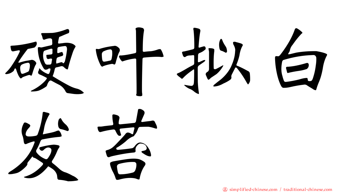 硬叶拟白发苔