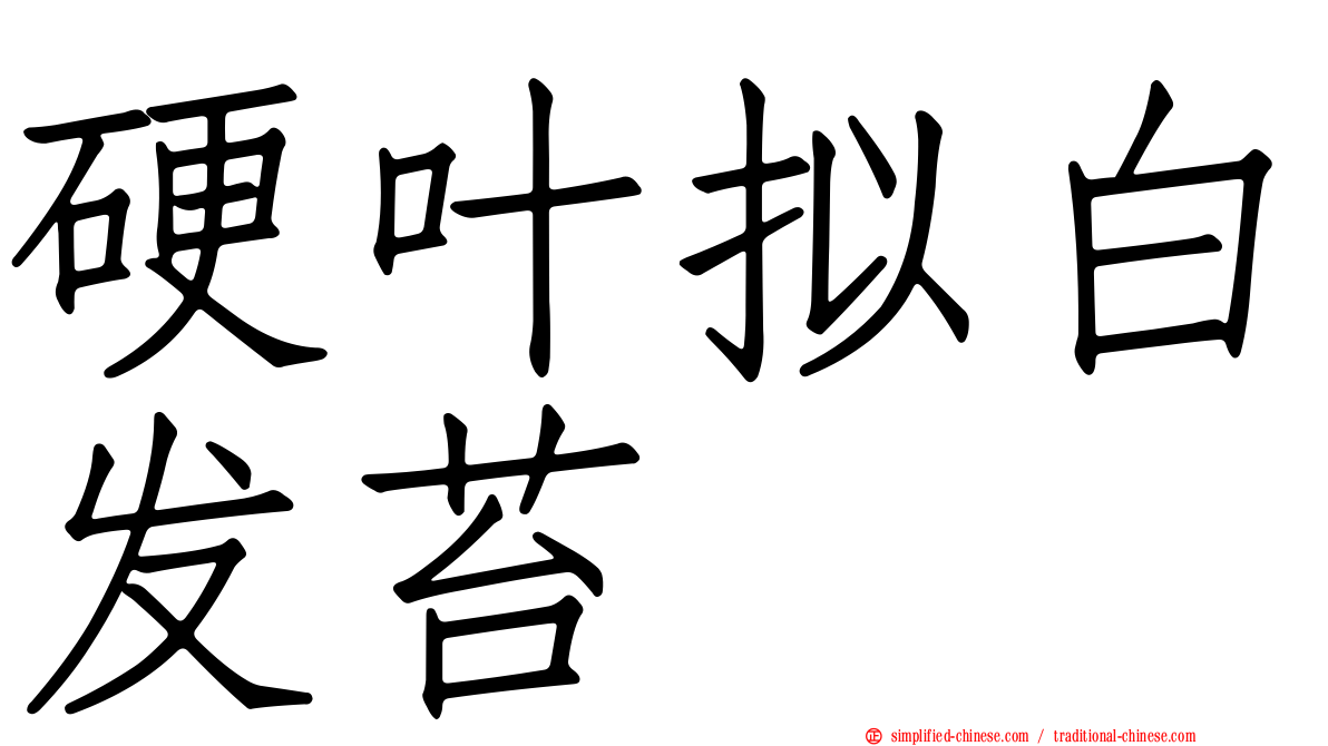 硬叶拟白发苔