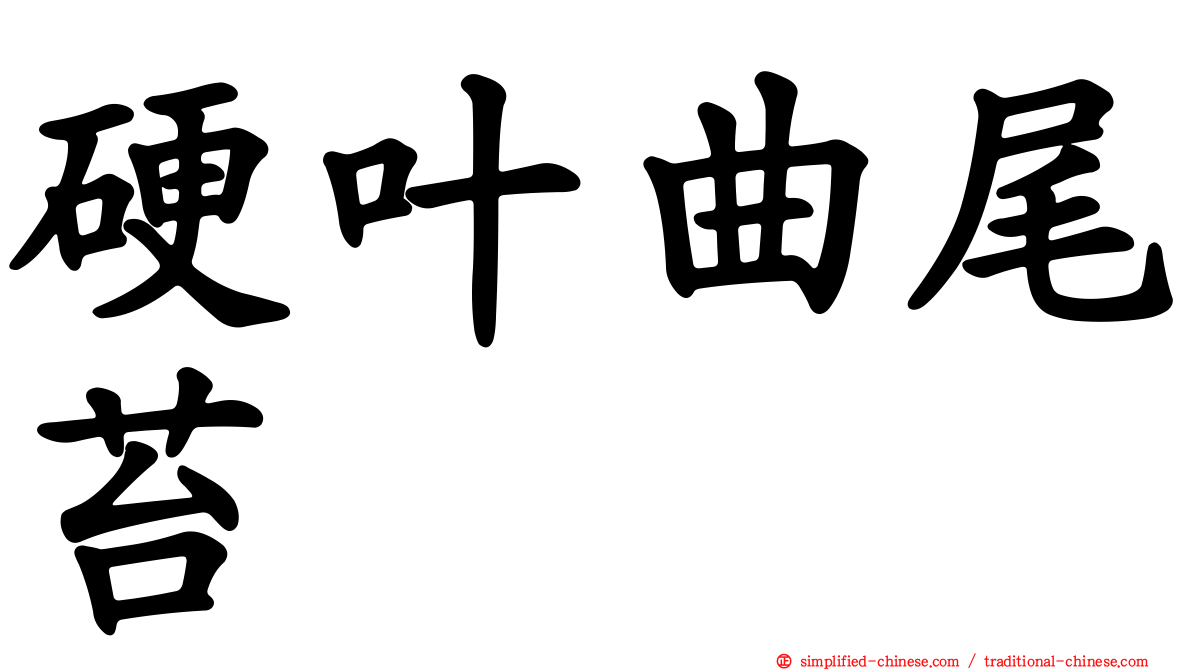 硬叶曲尾苔