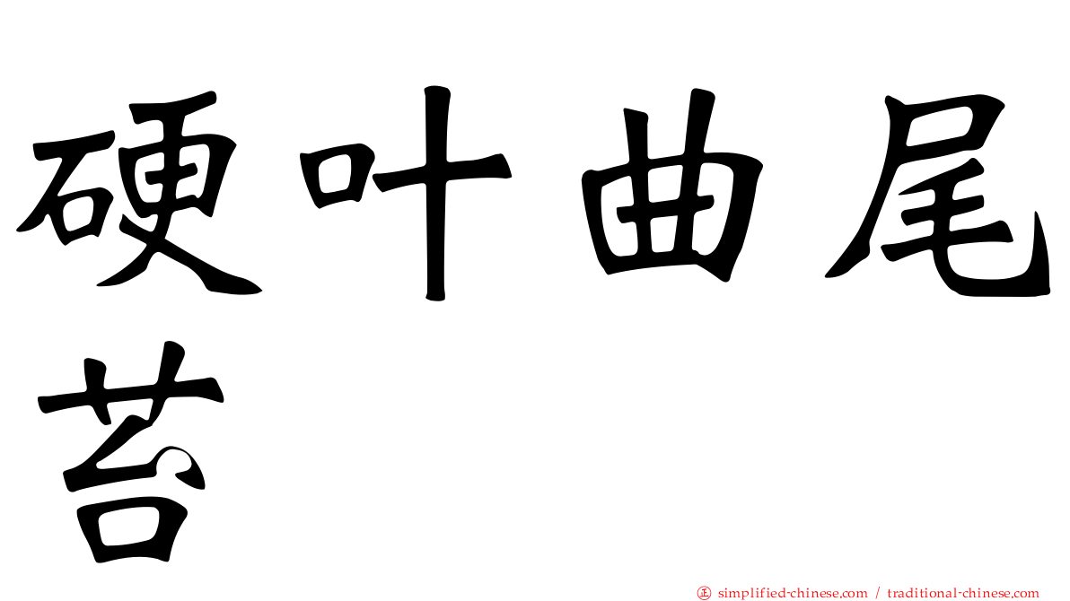 硬叶曲尾苔