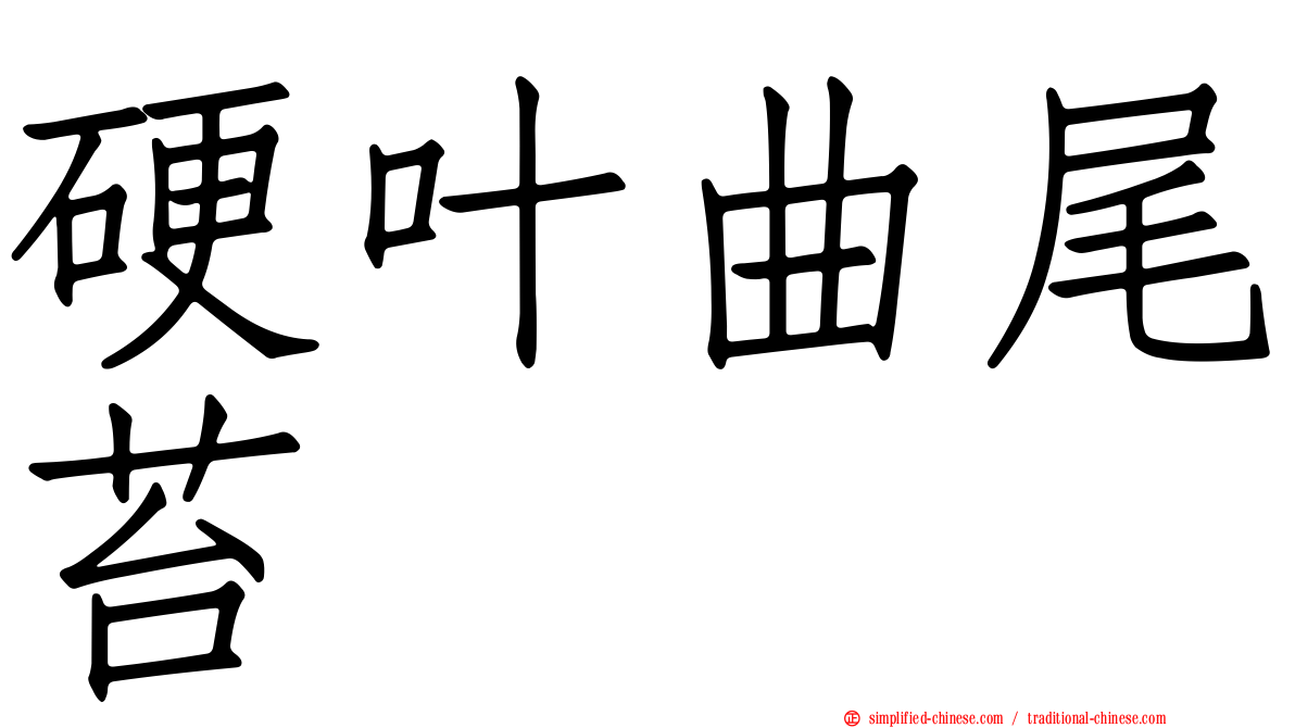 硬叶曲尾苔