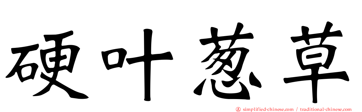硬叶葱草