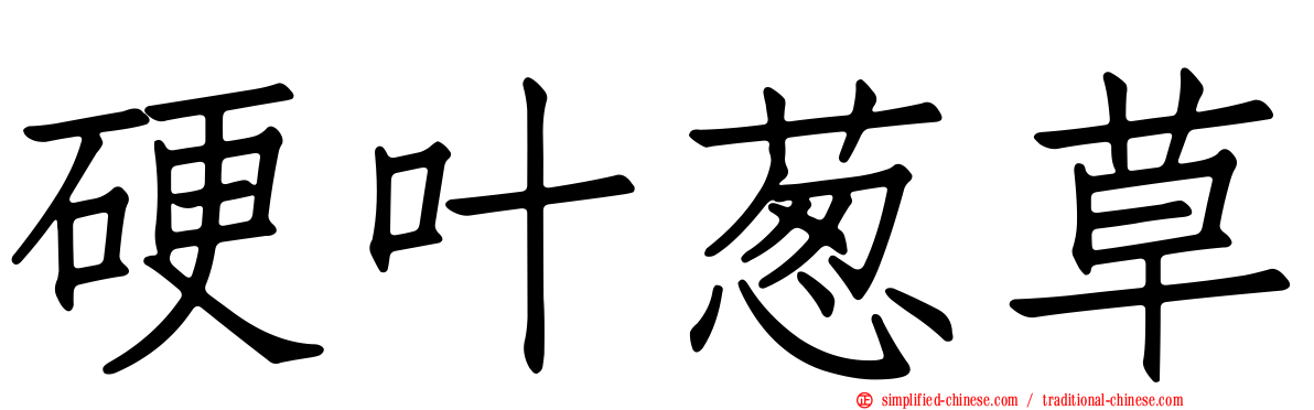 硬叶葱草