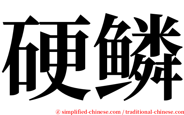 硬鳞 serif font