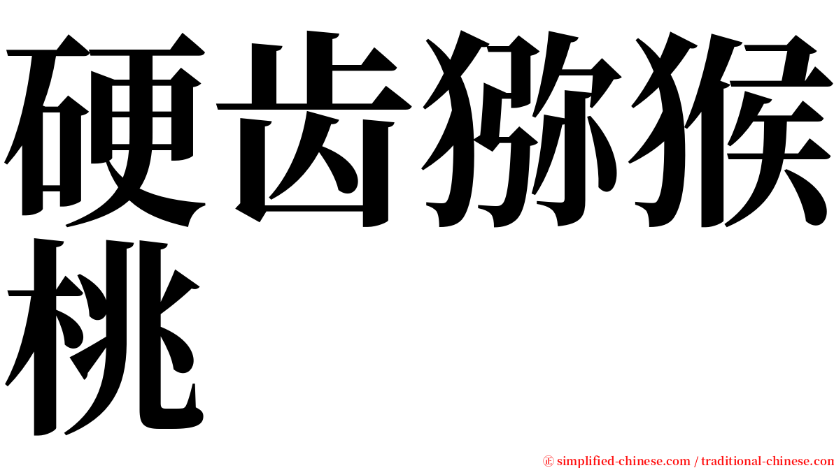 硬齿猕猴桃 serif font