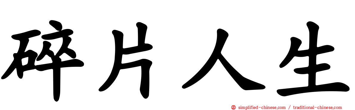 碎片人生