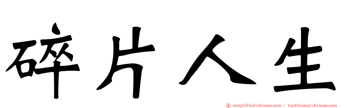 碎片人生