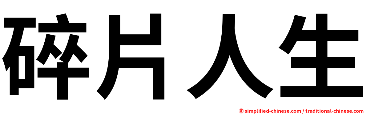 碎片人生