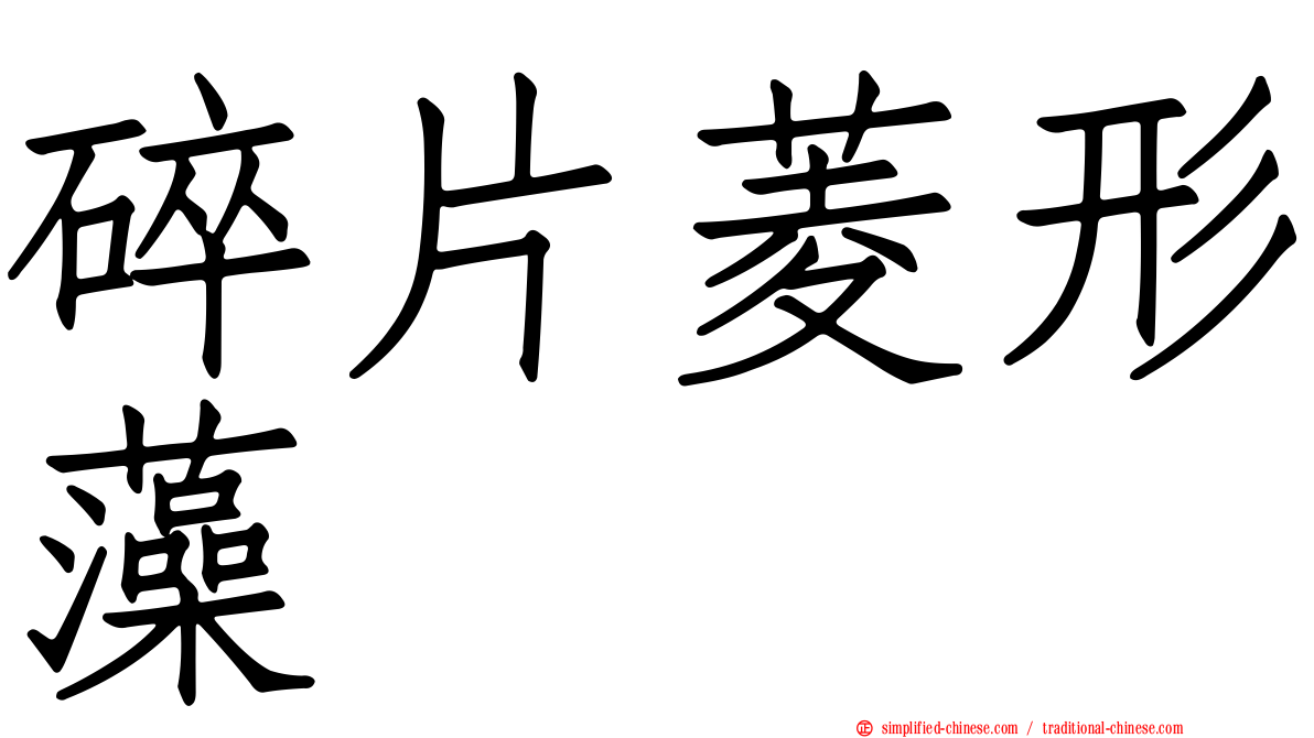 碎片菱形藻
