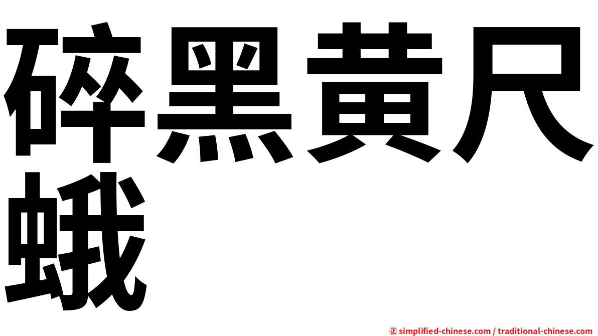 碎黑黄尺蛾