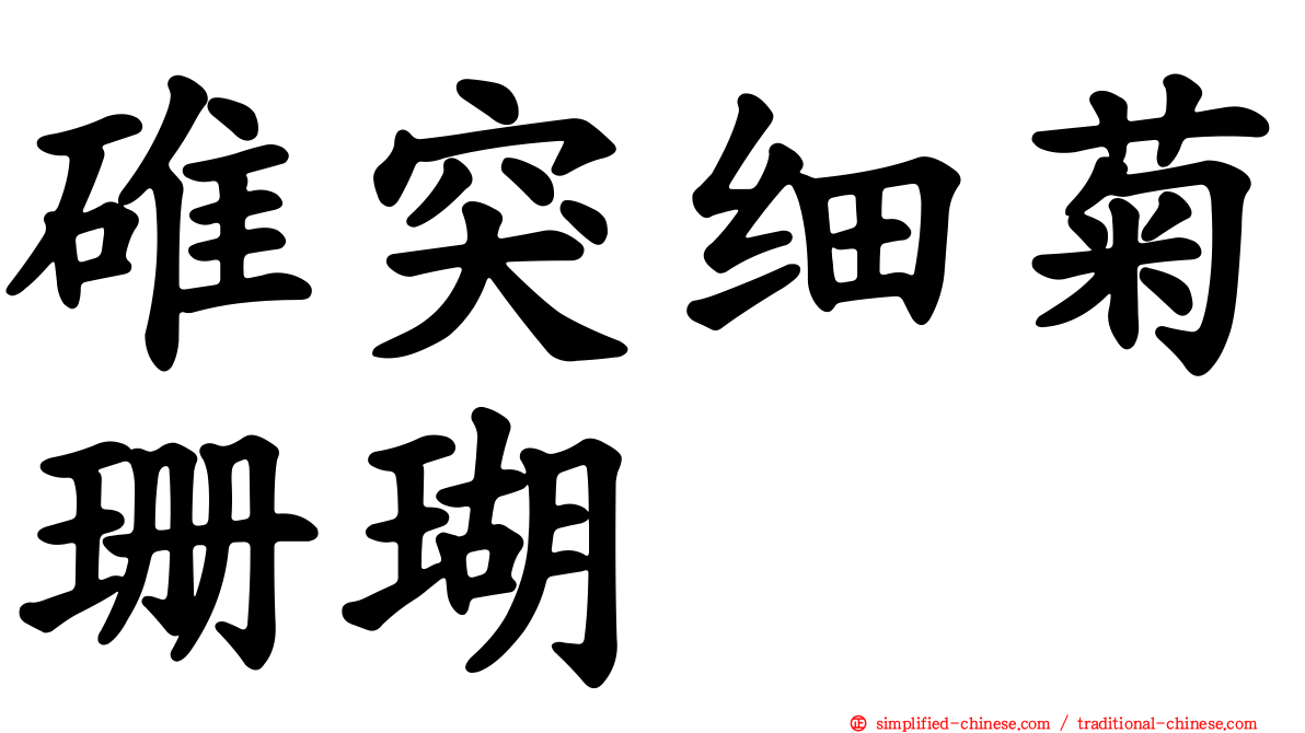 碓突细菊珊瑚