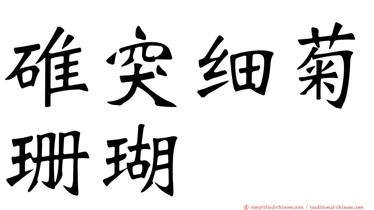 碓突细菊珊瑚