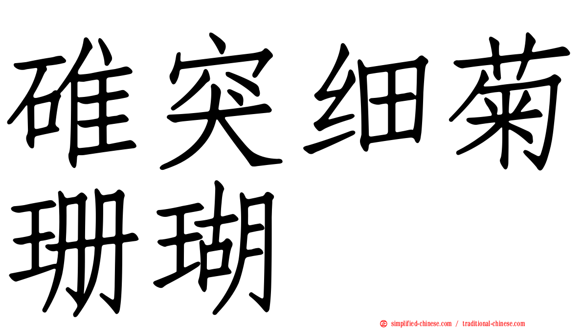碓突细菊珊瑚