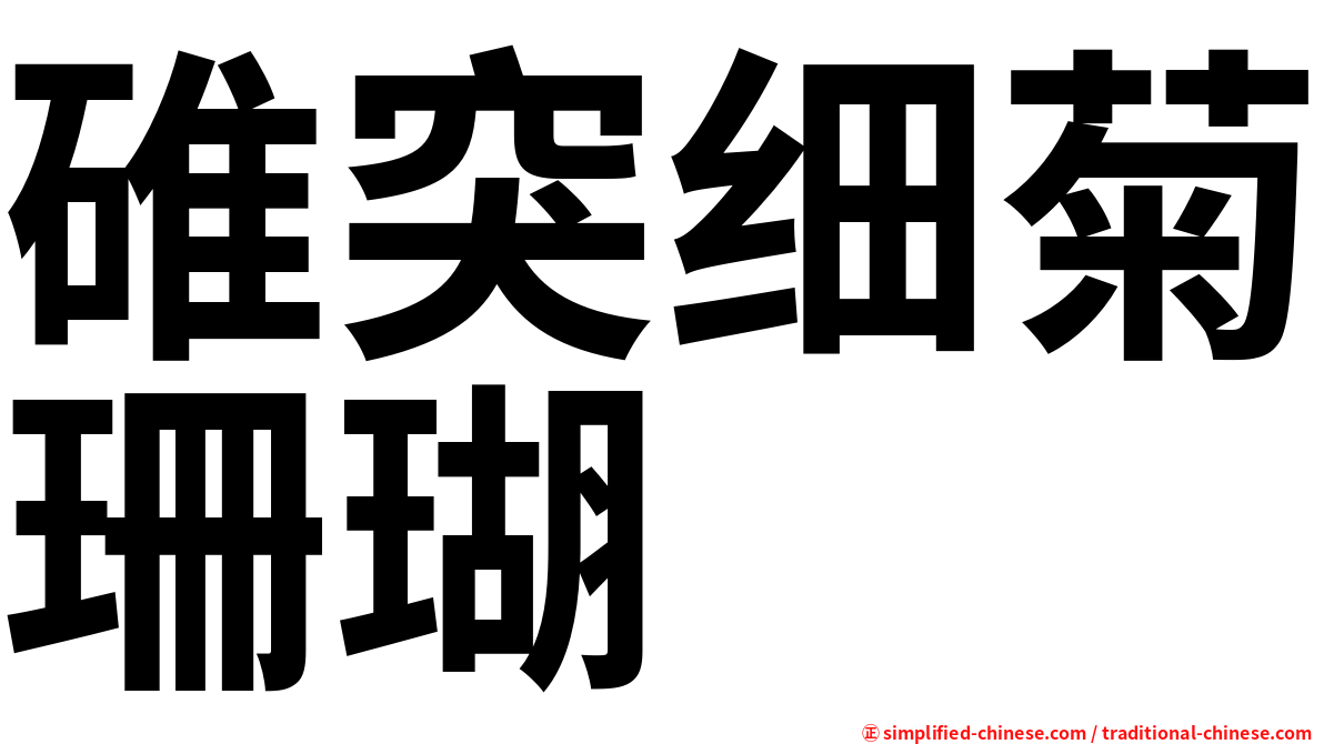 碓突细菊珊瑚