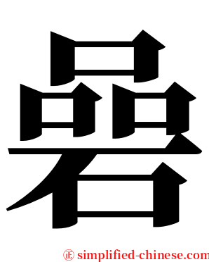 碞 serif font