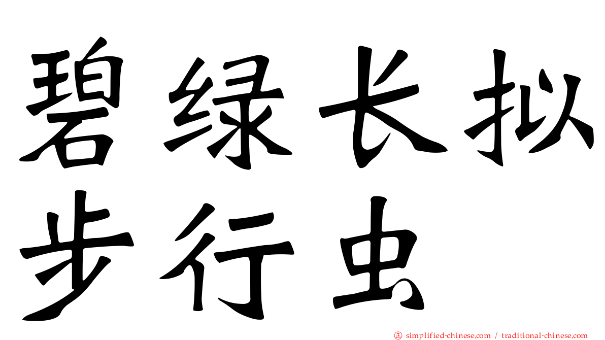 碧绿长拟步行虫
