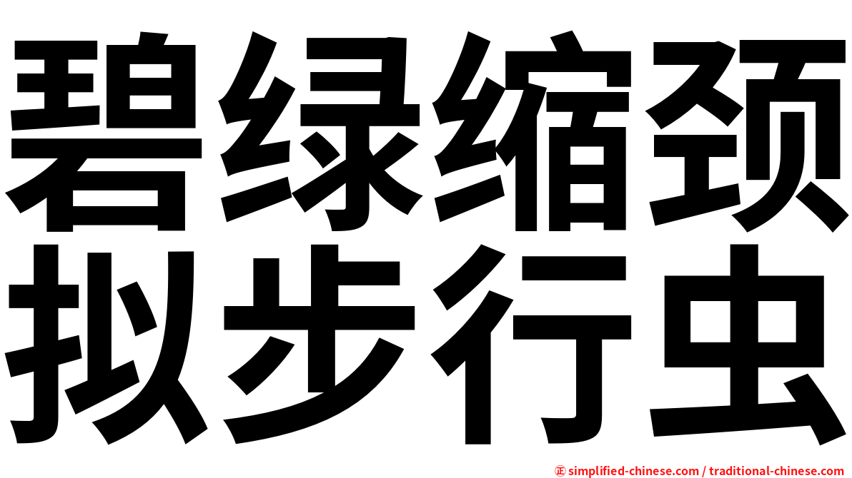碧绿缩颈拟步行虫