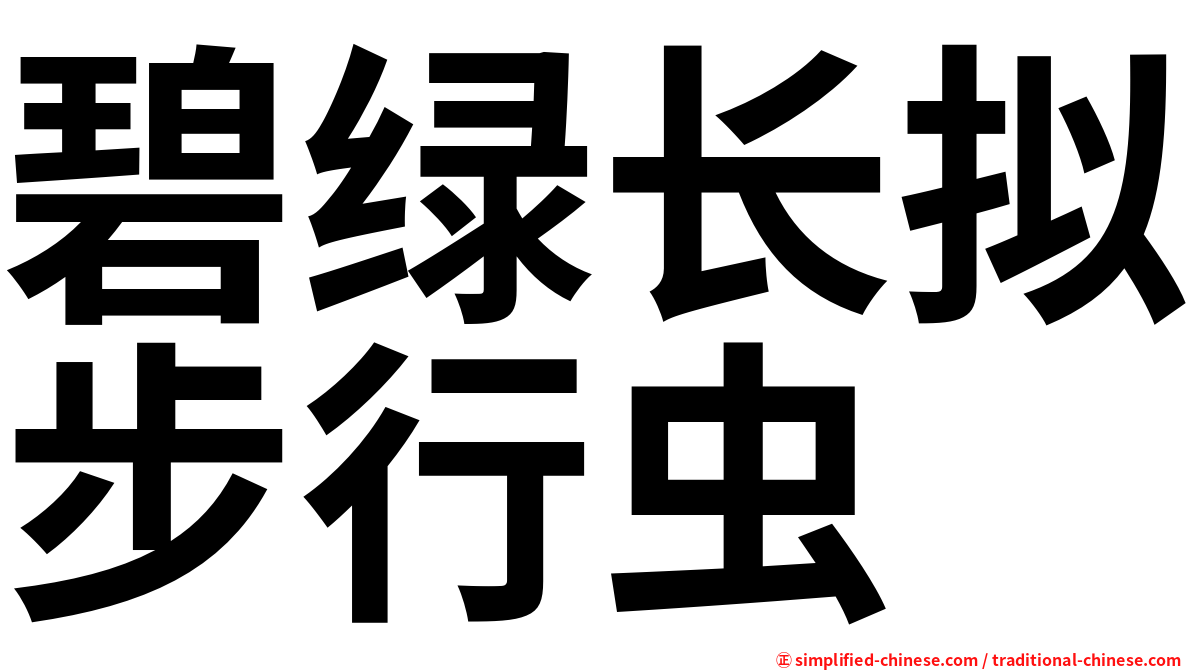 碧绿长拟步行虫