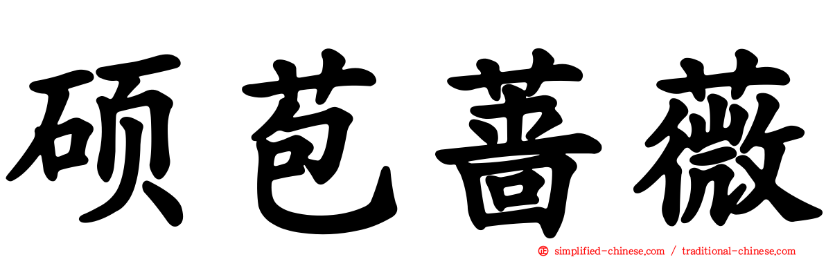 硕苞蔷薇