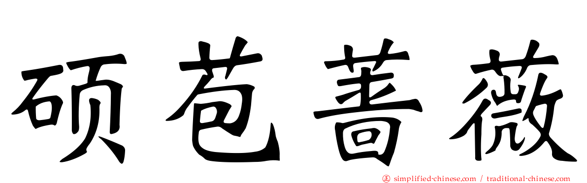 硕苞蔷薇