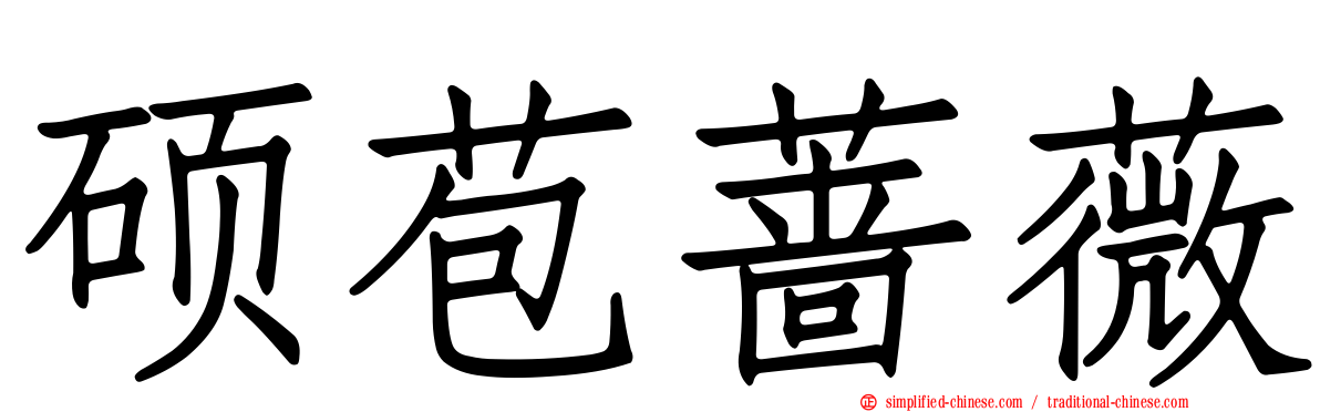 硕苞蔷薇