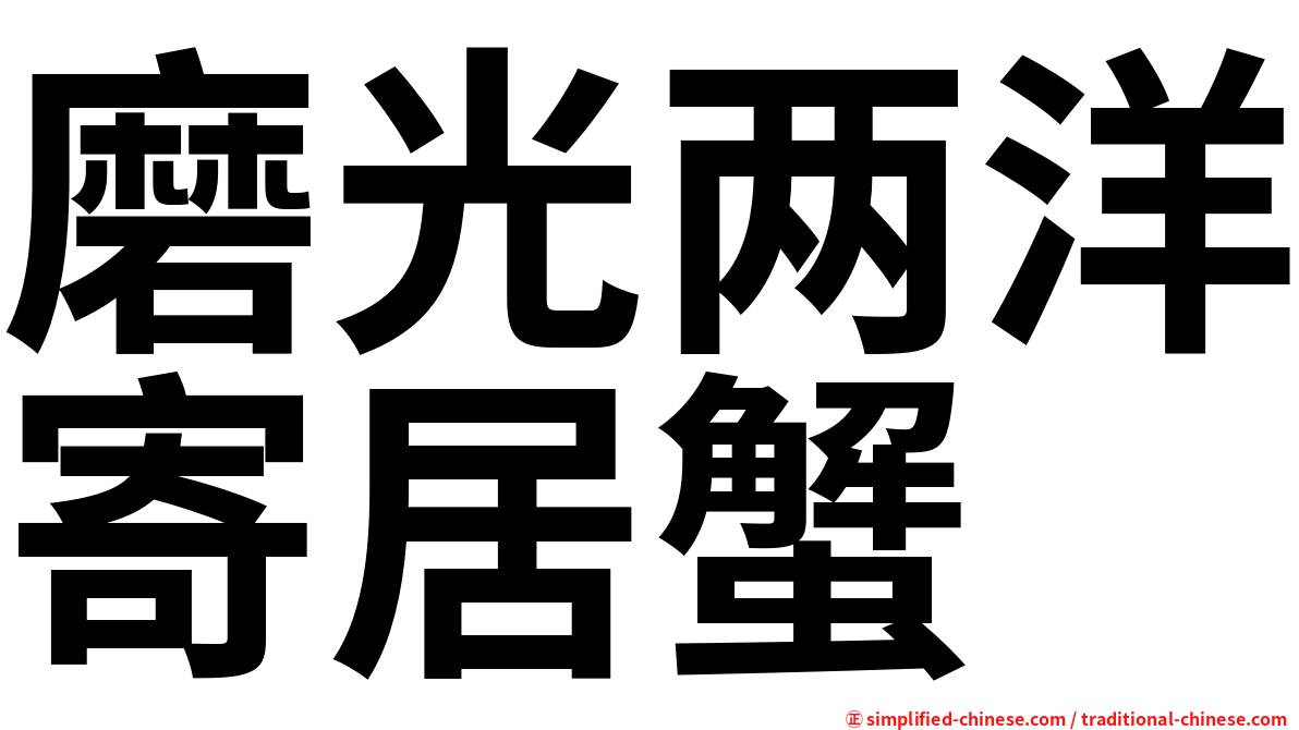 磨光两洋寄居蟹