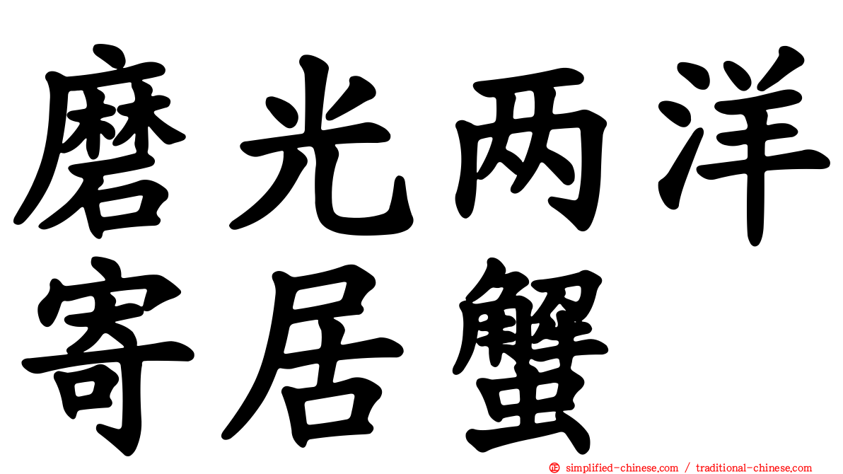 磨光两洋寄居蟹