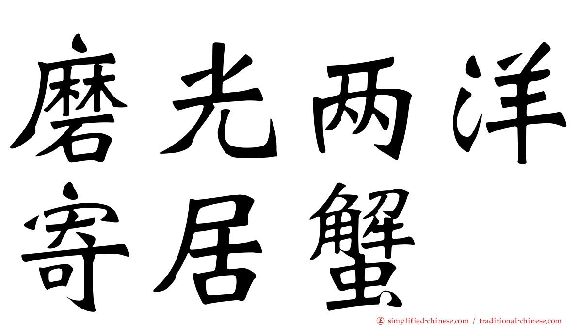 磨光两洋寄居蟹