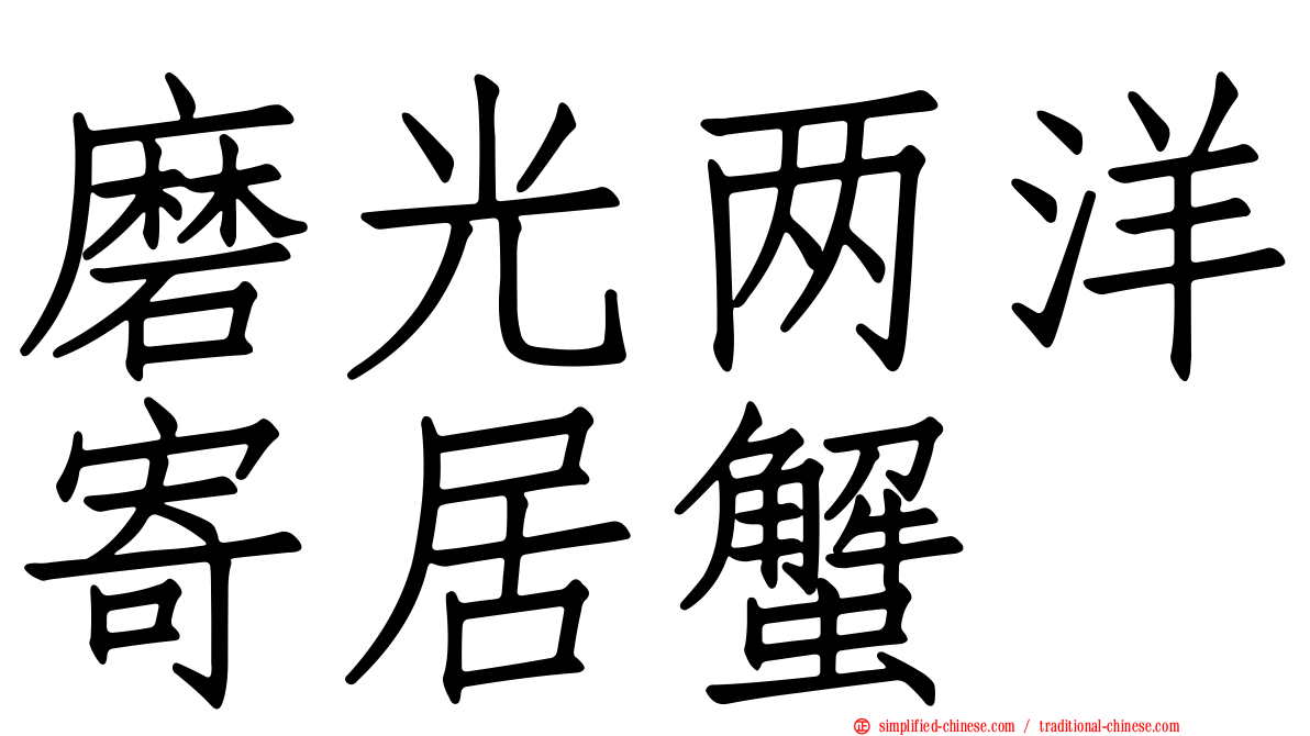 磨光两洋寄居蟹