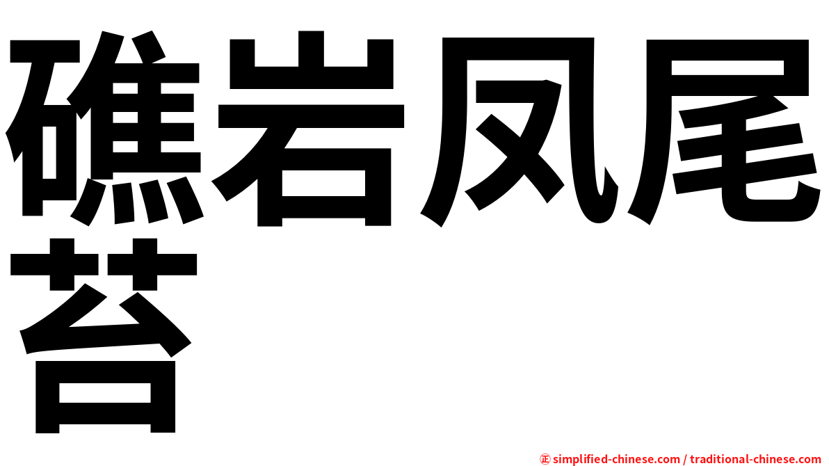 礁岩凤尾苔