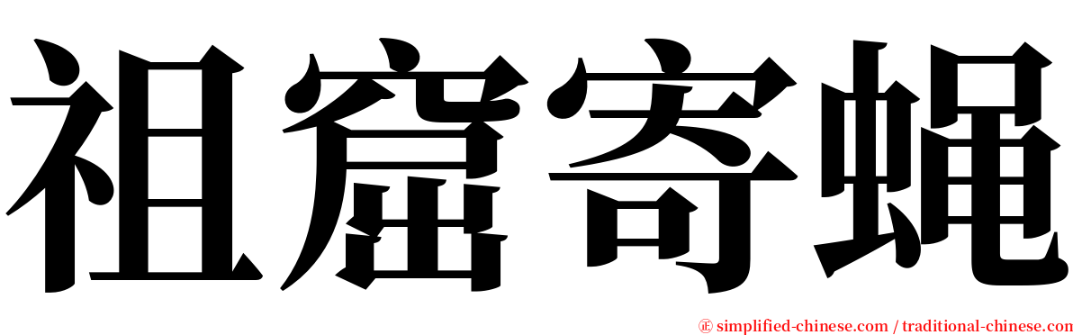 祖窟寄蝇 serif font