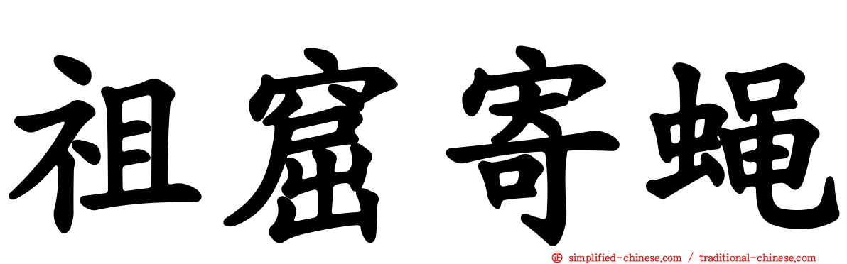 祖窟寄蝇