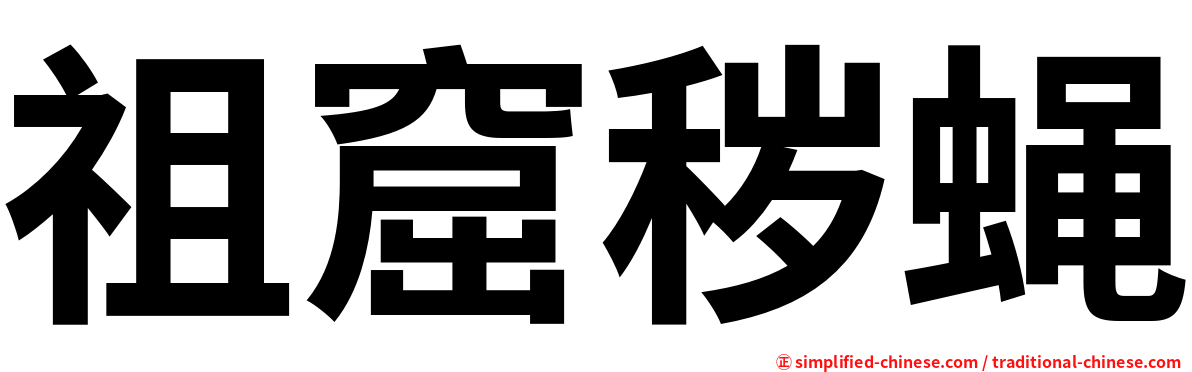 祖窟秽蝇