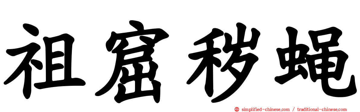 祖窟秽蝇