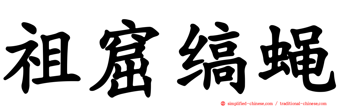 祖窟缟蝇