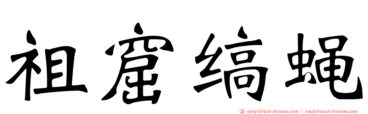 祖窟缟蝇
