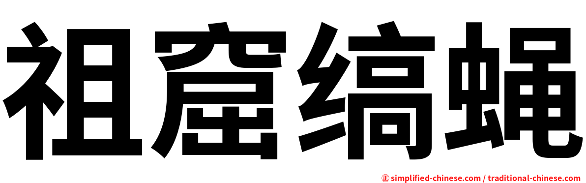 祖窟缟蝇