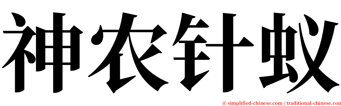 神农针蚁 serif font