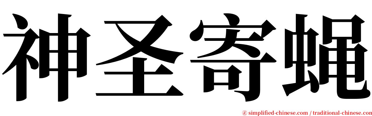 神圣寄蝇 serif font