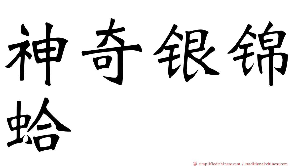 神奇银锦蛤